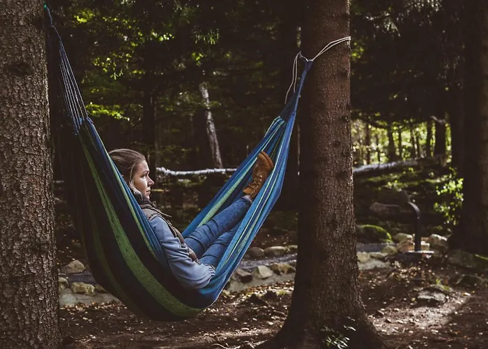 Treehouse - Magiczne Na Drzewie W Karpaczu - Wyjatkowy Blisko Natury Karpacz