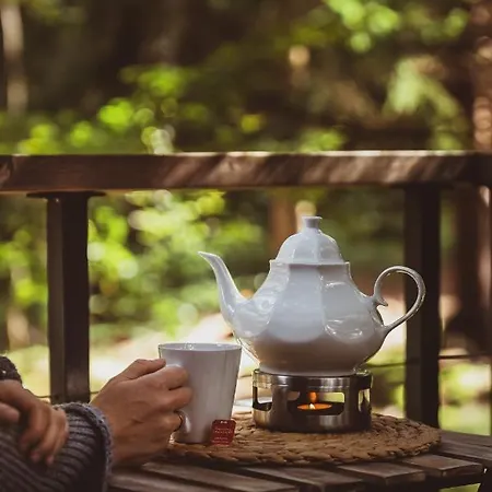 Dom wakacyjny Treehouse - Magiczne Na Drzewie W Karpaczu - Wyjatkowy Blisko Natury