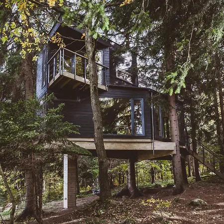 Treehouse - Magiczne Na Drzewie W Karpaczu - Wyjatkowy Blisko Natury 度假居 卡尔帕奇