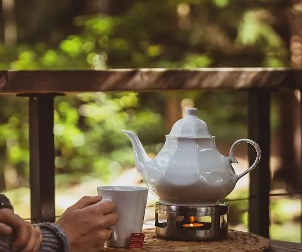 Holiday home Treehouse - Magiczne Na Drzewie W Karpaczu - Wyjatkowy Blisko Natury